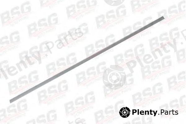  BSG part BSG30-924-047 (BSG30924047) Trim/Protective Strip, door
