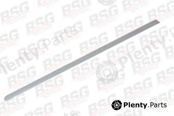  BSG part BSG30-924-049 (BSG30924049) Trim/Protective Strip, door
