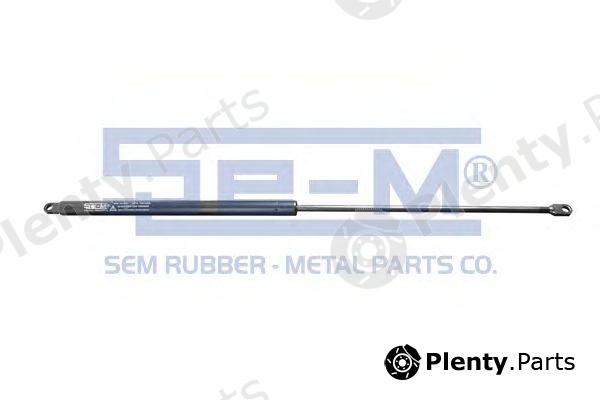  SEM LASTIK part 8391 Gas Spring