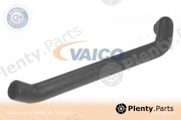  VAICO part V300904 Hose, air supply