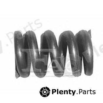  FA1 part 105-901 (105901) Spring, silencer