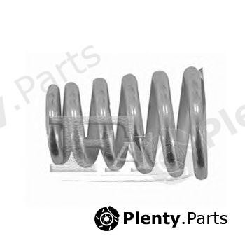  FA1 part 125-905 (125905) Spring, silencer