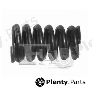  FA1 part 765-901 (765901) Spring, silencer