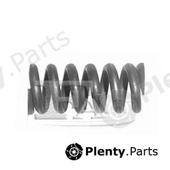  FA1 part 115-903 (115903) Spring, silencer