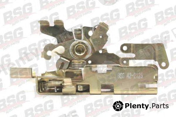  BSG part BSG60-975-011 (BSG60975011) Door Lock