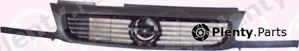  KLOKKERHOLM part 5050992A1 Radiator Grille