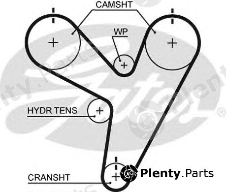  GATES part T255 Timing Belt