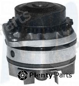  KAVO PARTS part NW-1244 (NW1244) Water Pump