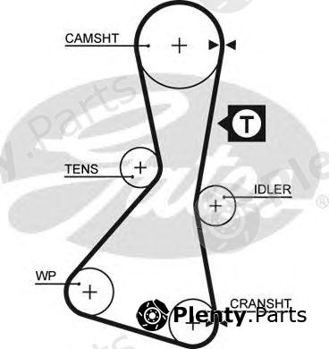  GATES part 5060XS Timing Belt