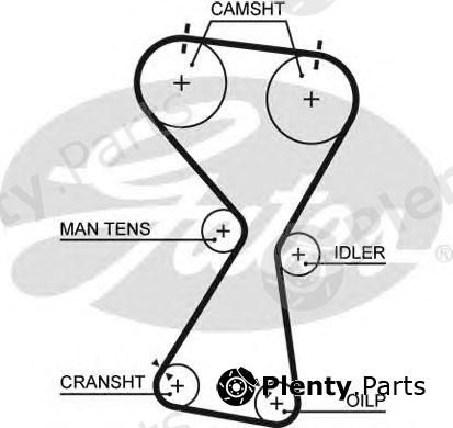  GATES part 5534XS Timing Belt