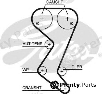  GATES part 5608XS Timing Belt