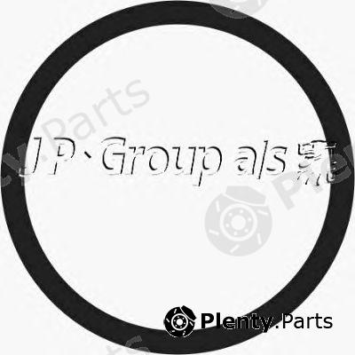  JP GROUP part CS1718 Gasket, thermostat