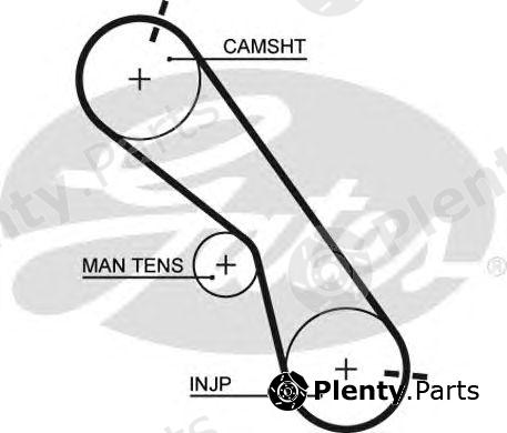  GATES part 5560XS Timing Belt