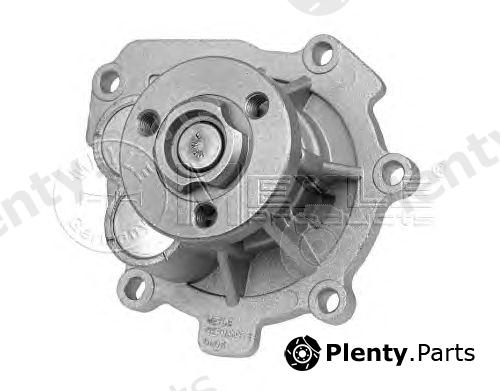  MEYLE part 6132200004 Water Pump
