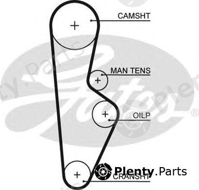  GATES part 5082XS Timing Belt