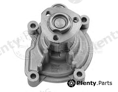  MEYLE part 1132200004 Water Pump