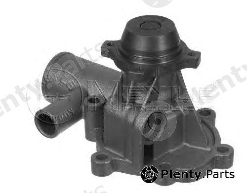  MEYLE part 8139321670 Water Pump