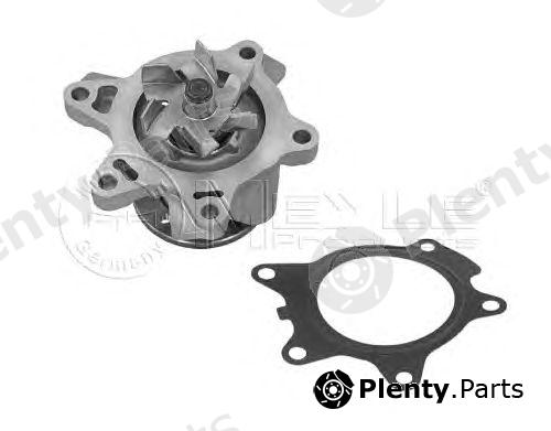  MEYLE part 3132200010 Water Pump