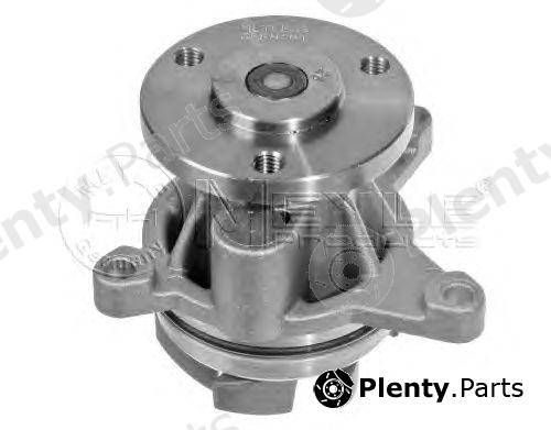  MEYLE part 7132200005 Water Pump
