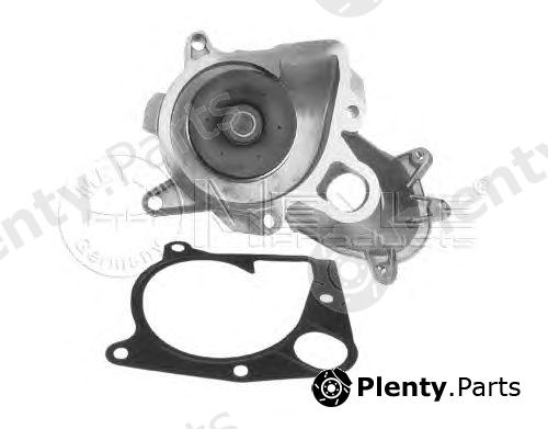  MEYLE part 3132200009 Water Pump