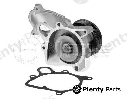  MEYLE part 3132200006 Water Pump