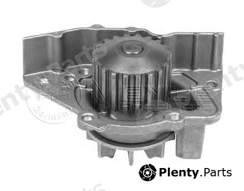  MEYLE part 11-132200005 (11132200005) Water Pump