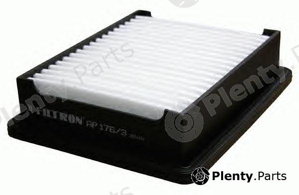  FILTRON part AP176/3 (AP1763) Air Filter