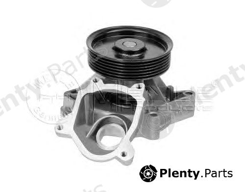  MEYLE part 3132200006 Water Pump