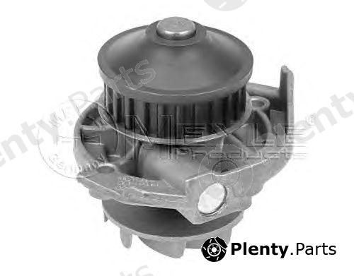  MEYLE part 2132200002 Water Pump