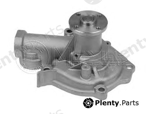  MEYLE part 32-132200000 (32132200000) Water Pump