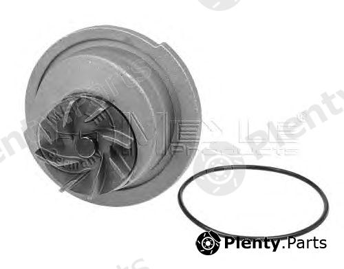  MEYLE part 6136000005 Water Pump