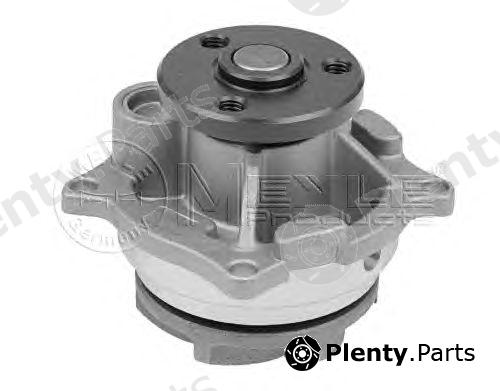  MEYLE part 7132200002 Water Pump