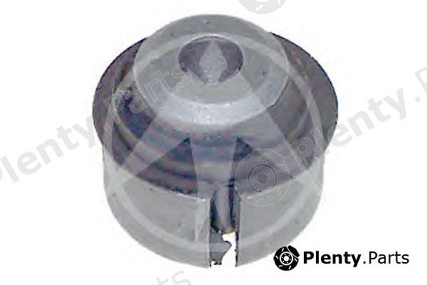  SIDEM part 849613 Control Arm-/Trailing Arm Bush