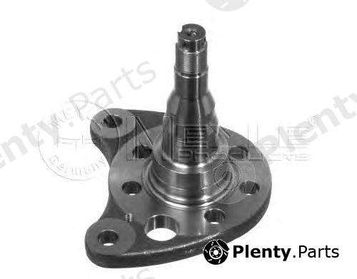  MEYLE part 1005010012 Stub Axle, wheel suspension