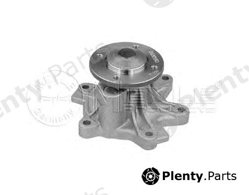  MEYLE part 3132200010 Water Pump