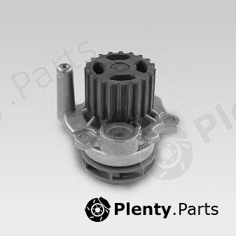  HEPU part P550 Water Pump