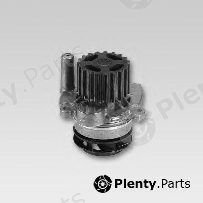  HEPU part P551 Water Pump