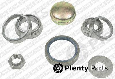  SNR part R140.95 (R14095) Wheel Bearing Kit