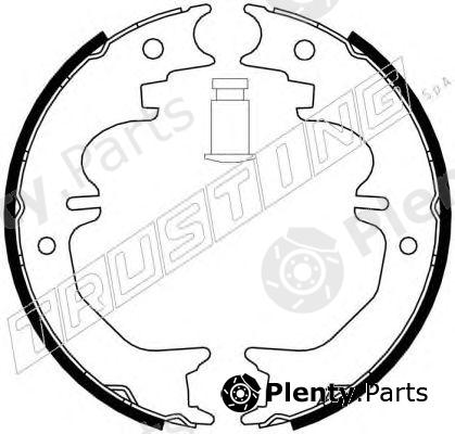  TRUSTING part 115.313 (115313) Brake Shoe Set, parking brake
