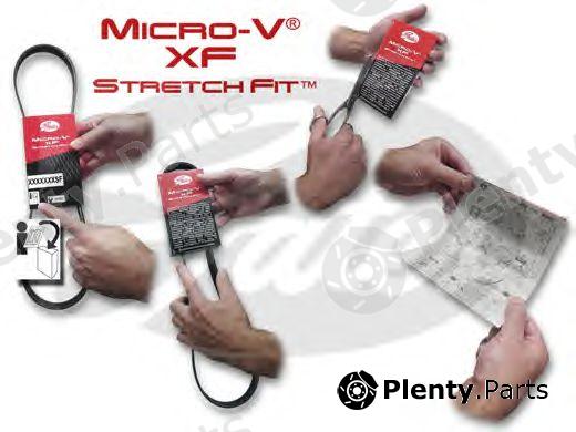  GATES part 6PK1042SF V-Ribbed Belts