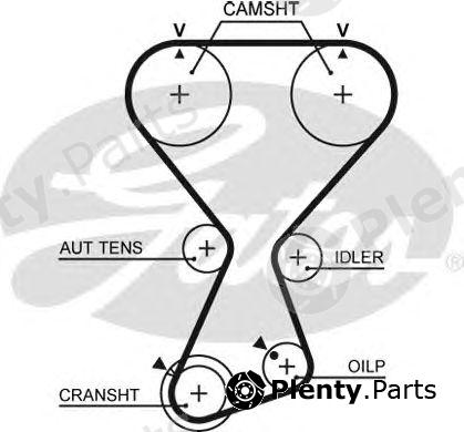  GATES part T313 Timing Belt