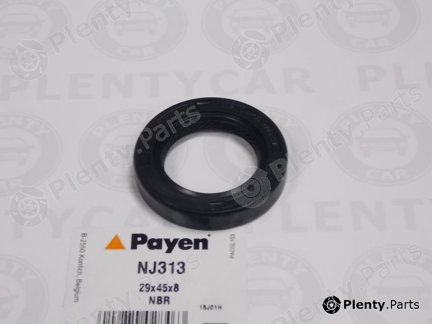  PAYEN part NJ313 Shaft Seal, camshaft