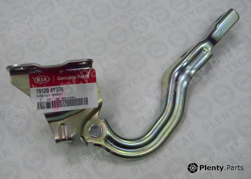 Genuine HYUNDAI / KIA (MOBIS) part 791204Y000 Replacement part
