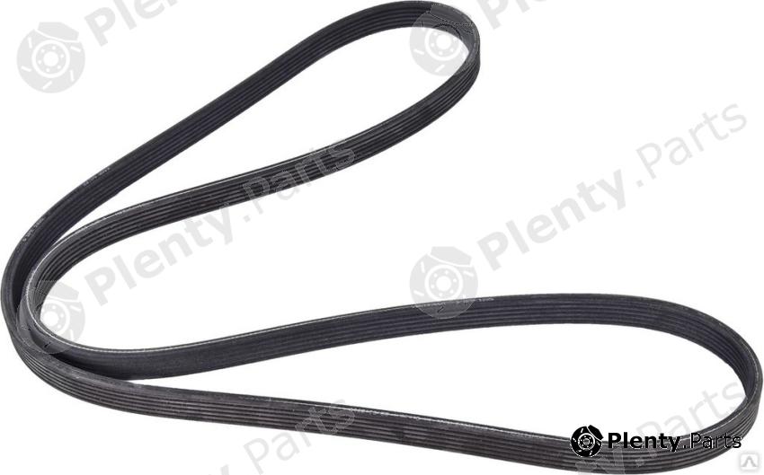 Genuine BMW part 11288574958 V-Ribbed Belts