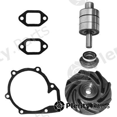  BERGKRAFT part BK3117722WP Repair Kit, water pump