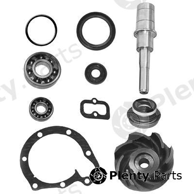  BERGKRAFT part BK3127722WP Repair Kit, water pump