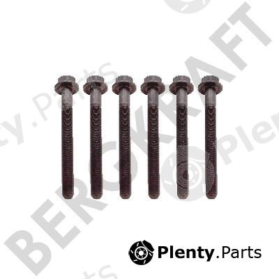  BERGKRAFT part BK8501372 Replacement part