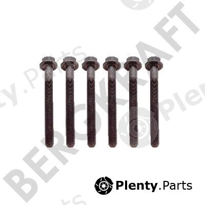  BERGKRAFT part BK8501388 Replacement part