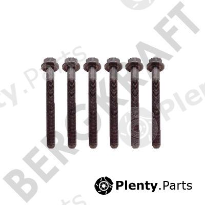  BERGKRAFT part BK8501418 Replacement part