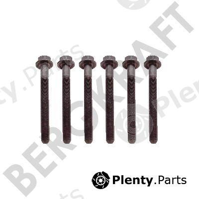  BERGKRAFT part BK8501424 Replacement part